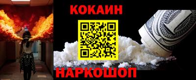 крисы Моздок