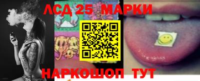 крисы Моздок