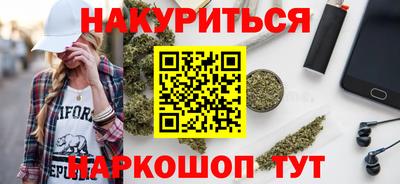 крисы Моздок