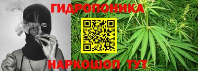 крисы Моздок