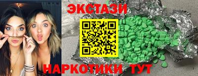 крисы Моздок